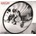 PEARL JAM: REARVIEWMIRROR CD