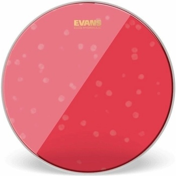 Evans BD22HR