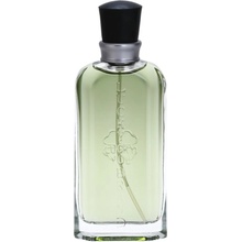 Liz Claiborne Lucky You kolínská voda pánská 100 ml