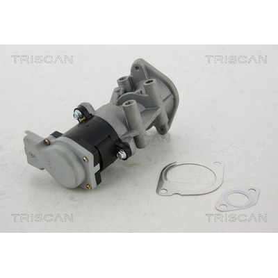 AGR-Ventil TRISCAN 8813 17008