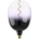 Eglo 12554