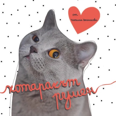 Котаракът Румен