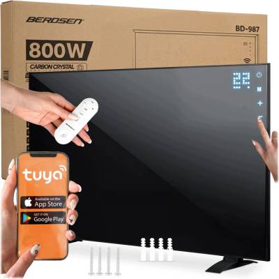 Berdsen BD-987 800W WiFi