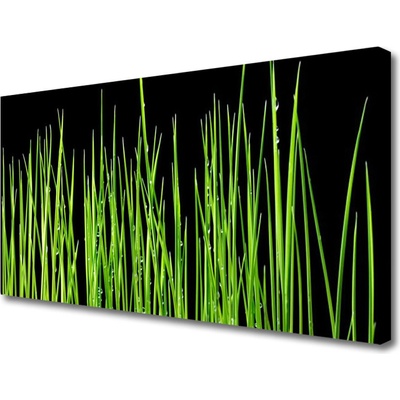 Obraz na plátně Plevel 100x50 cm