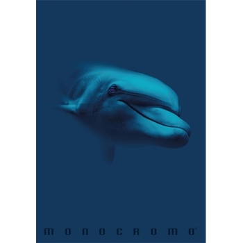 Pigna Monocromo Blue A4 с телбод 38 страници карирана тетрадка P1111-1855 (P1111-1855)