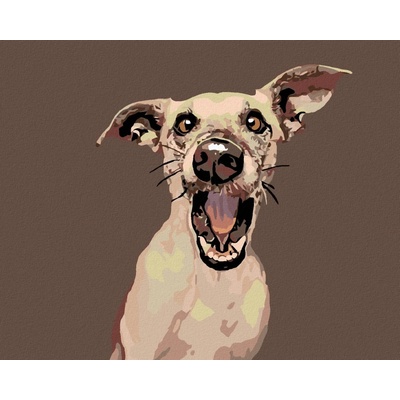 zuty Malování podle čísel Překvapený pes 50 x 40 cm vypnuté plátno na rám