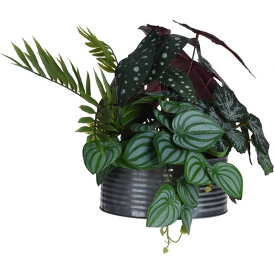Home Styling Collection Umělá Begónie maculata, 28 cm zelený
