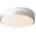 Rendl R11296