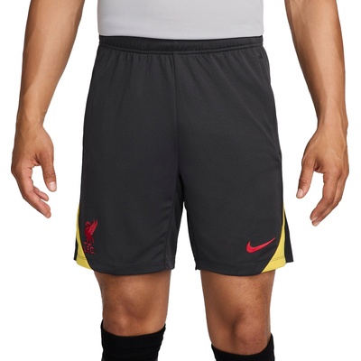 Шорти Nike LFC M NK DF STRK SHORT KZ3R fq2423-070 Размер S