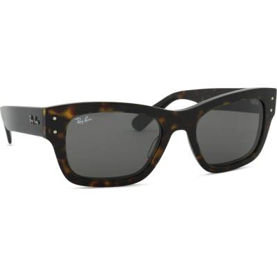 Ray-Ban RB7683S 902/B1 55