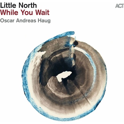 Little North & Oscar Andreas Haug - While You Wait (180 g) LP