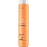 Erayba ABH Repair Възстановяващ шампоан за суха и слаба коса, 250 ml - baby