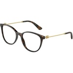 Dolce&Gabbana DG3363 502