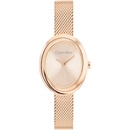 Calvin Klein CK25100153