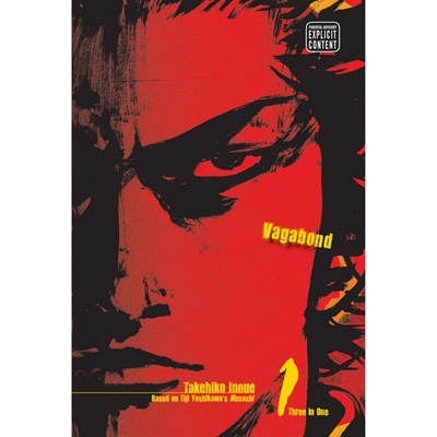 Vagabond 01