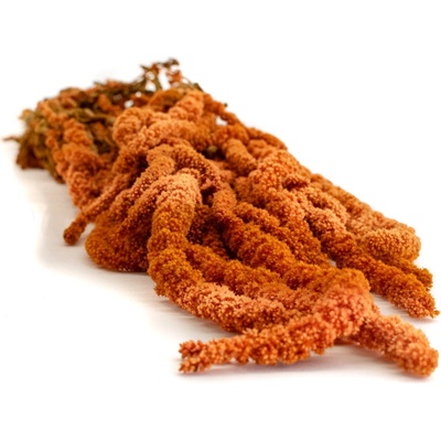 Stabilizovaný Amaranth oranžový