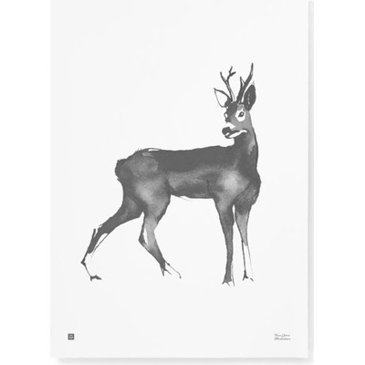 Teemu Järvi Plakát s motivem srnce Roe Deer 50x70