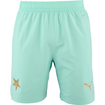 PUMA SKS Shorts Promo S