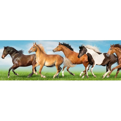 Dimex KI180-111 Fototapeta do kuchyně Horses rozměry 180 x 60 cm