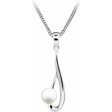 Silver Cat SC611