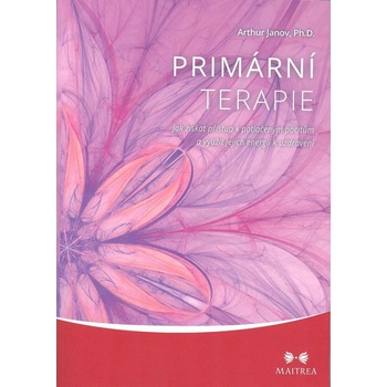 Primární terapie