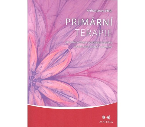 Primární terapie