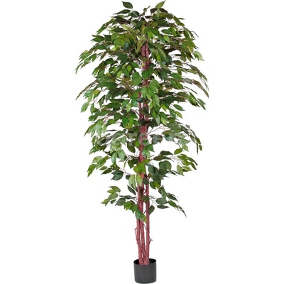Umelý strom Fikus zelený - prírodné kmene, 180cm