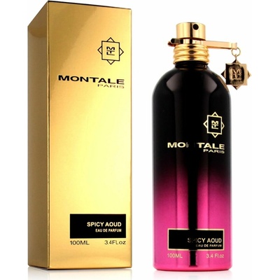 Montale Paris Spicy Aoud parfumovaná voda unisex 100 ml
