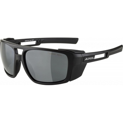 Alpina SKYWALSH CM+
