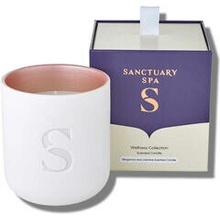Sanctuary Spa Wellness 260 g