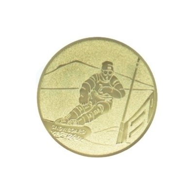 Kovový emblém SNOWBOARD 091