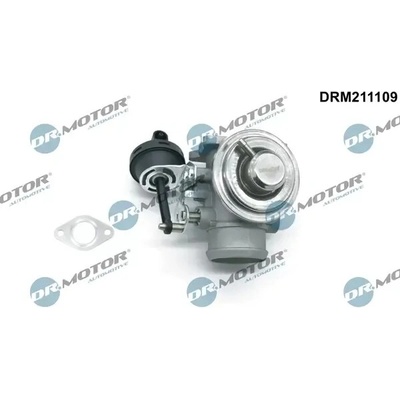 Dr.Motor Automotive AGR ventil DMA DRM211109