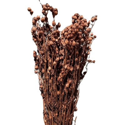 Silene hnědá 100 g
