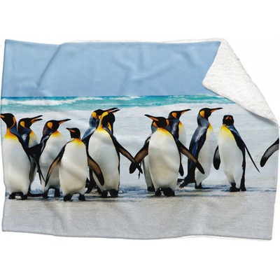 Impar fleece deka Tučňáci Podšití beránkem ANO 150x120