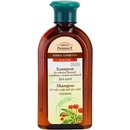 Šampóny Green Pharmacy Hair Care Ginseng šampón pre mastnú vlasovú pokožku a suché končeky 0% Parabens Artificial Colouring SLS SLES 350 ml