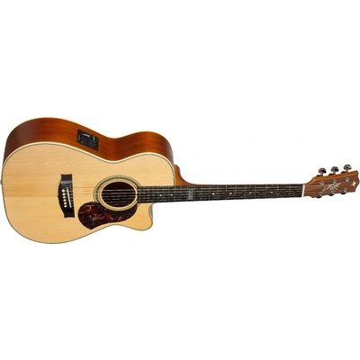 Maton EBG808-TEC Tommy Emmanuel – Hledejceny.cz