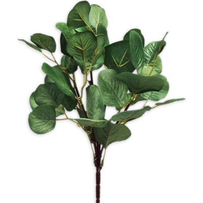 Eukalyptus populus zelený svazek - 43 cm