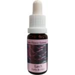 PHI Essences Повишава самочувствието - Есенция Лиственица № 19, капки 15 ml (19 CLASSIC)