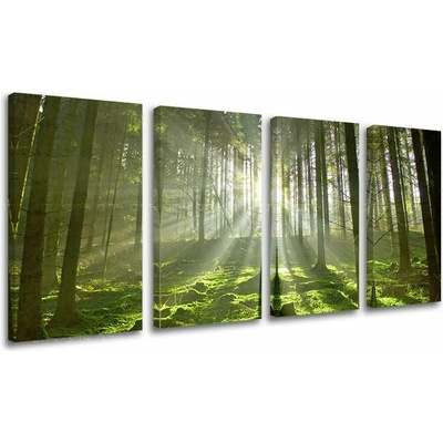 Obraz na stenu STROMY - 120x60 cm