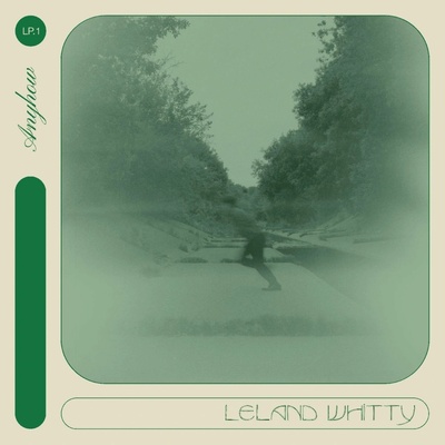 WHITTY, LELAND - ANYHOW LP