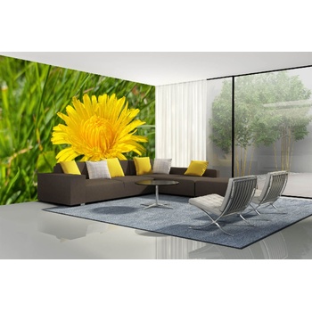 DIMEX ART s. r. o Самозалепваща се флизелинова фототапета пролетно глухарче 375 x 250 см