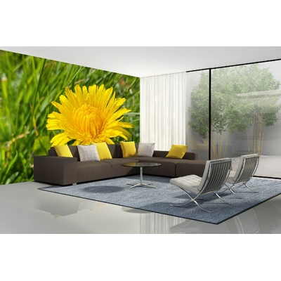 DIMEX ART Самозалепваща се флизелинова фототапета пролетно глухарче 375 x 250 см