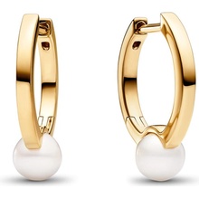 Pandora 263170C01