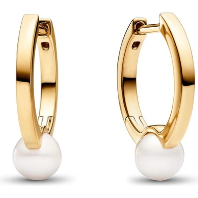 Pandora 263170C01