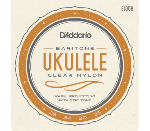 D'addario EJ65B
