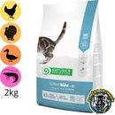 Natures P cat kitten poultry 2 kg