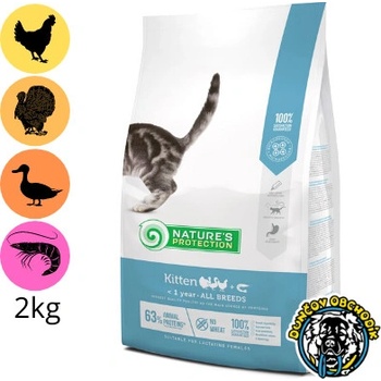 Natures P cat kitten poultry 2 kg