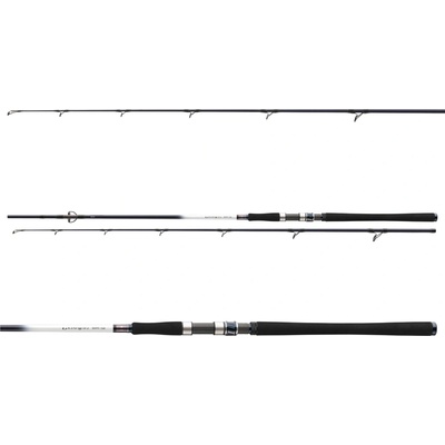 Daiwa GRANDWAVE POLLOCK 2,4 m 40-100 g 2 díly