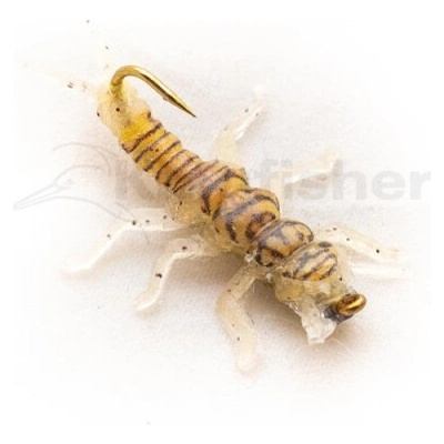 Kingfisher Jig nymfa zlatá vel.8