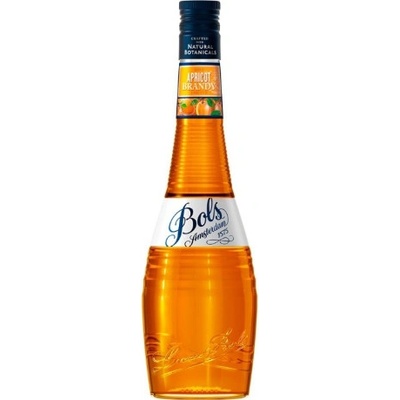 Bols Apricot Brandy 24% 1 l (holá lahev)
